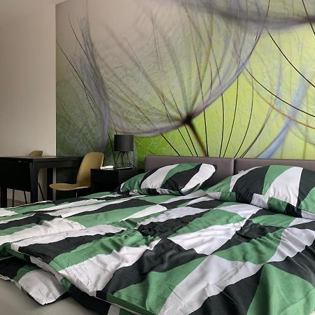 Apartament G&K 슈비노우이스쳬 외부 사진
